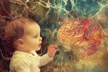 This shows a baby and a brain.