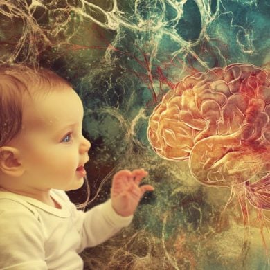 This shows a baby and a brain.