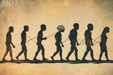 This shows a line of people, depicting evolution.