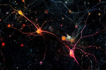 This shows AI generated neurons.