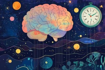 This shows a brain and a clock.