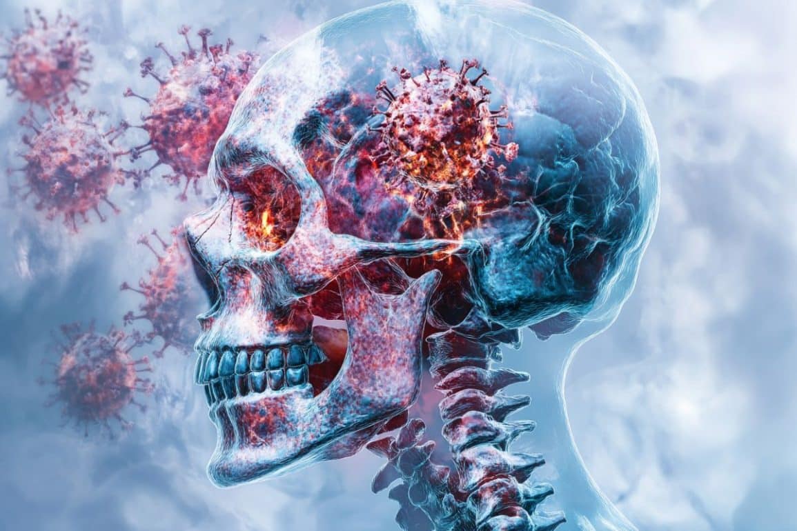 Spike protein lingers in brain fuels long covid neuroscience news