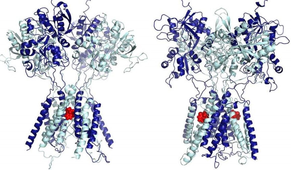 This shows the molecular structure for ketamine.