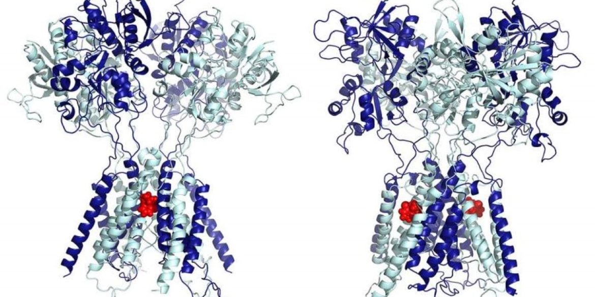 This shows the molecular structure for ketamine.