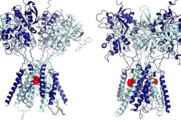 This shows the molecular structure for ketamine.