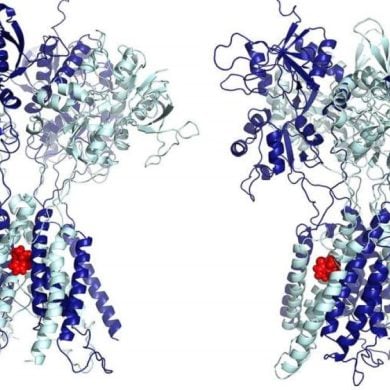 This shows the molecular structure for ketamine.