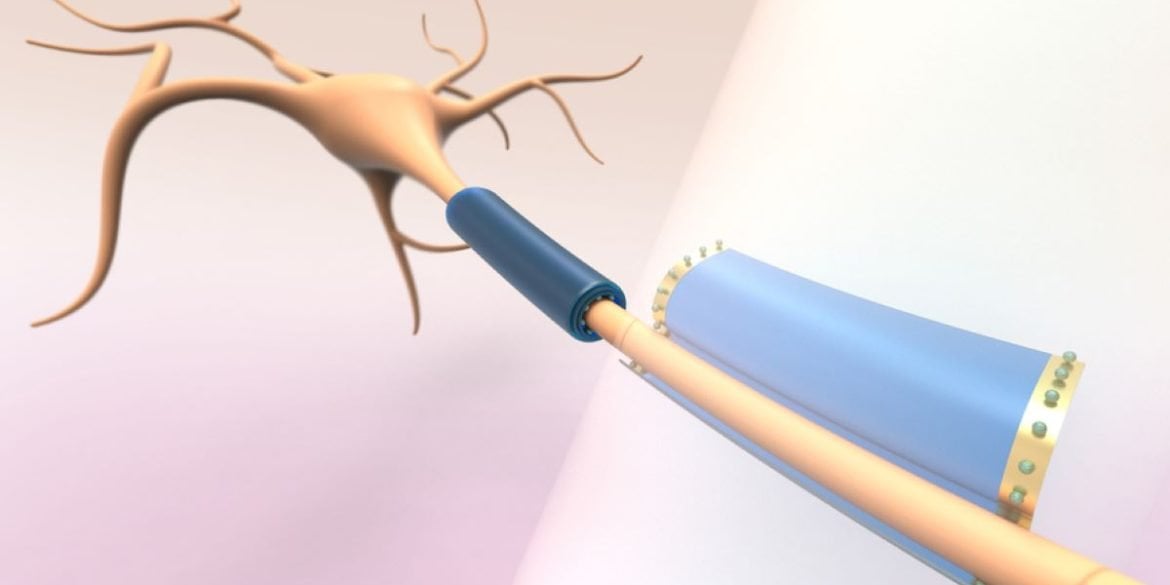 This shows the device around a neuron.