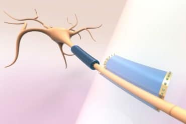 This shows the device around a neuron.