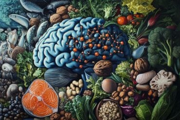 This shows a brain and healthy food.