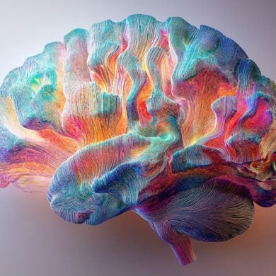 This shows a brain.