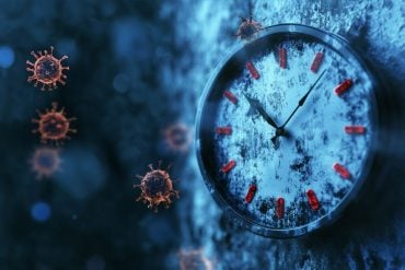 This shows a clock and viruses.