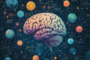 Memory visual data 6