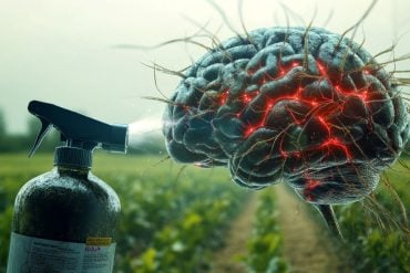 This shows a brain and a bottle of herbicide.