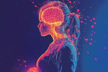 This shows a pregnant woman and a brain.