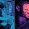 This shows a man at a computer and a marmoset.