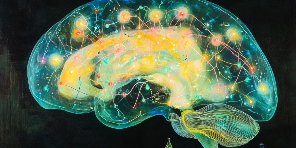 This shows a brain.