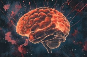 This shows a brain.