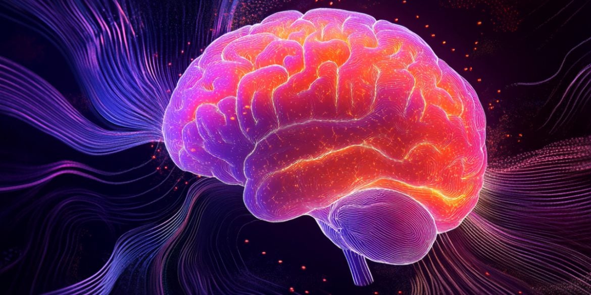 This shows a brain.