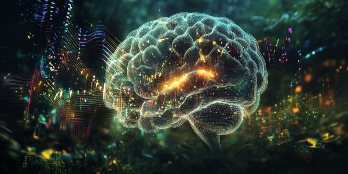 This shows a brain.