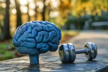 This shows a brain and weights.