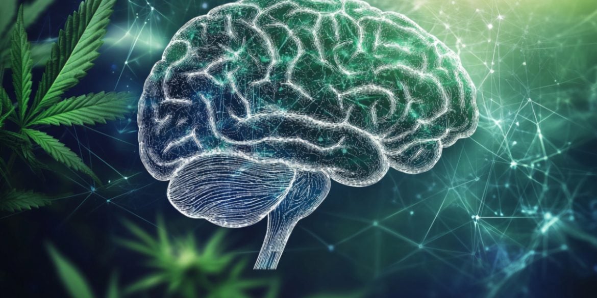 This shows a brain.