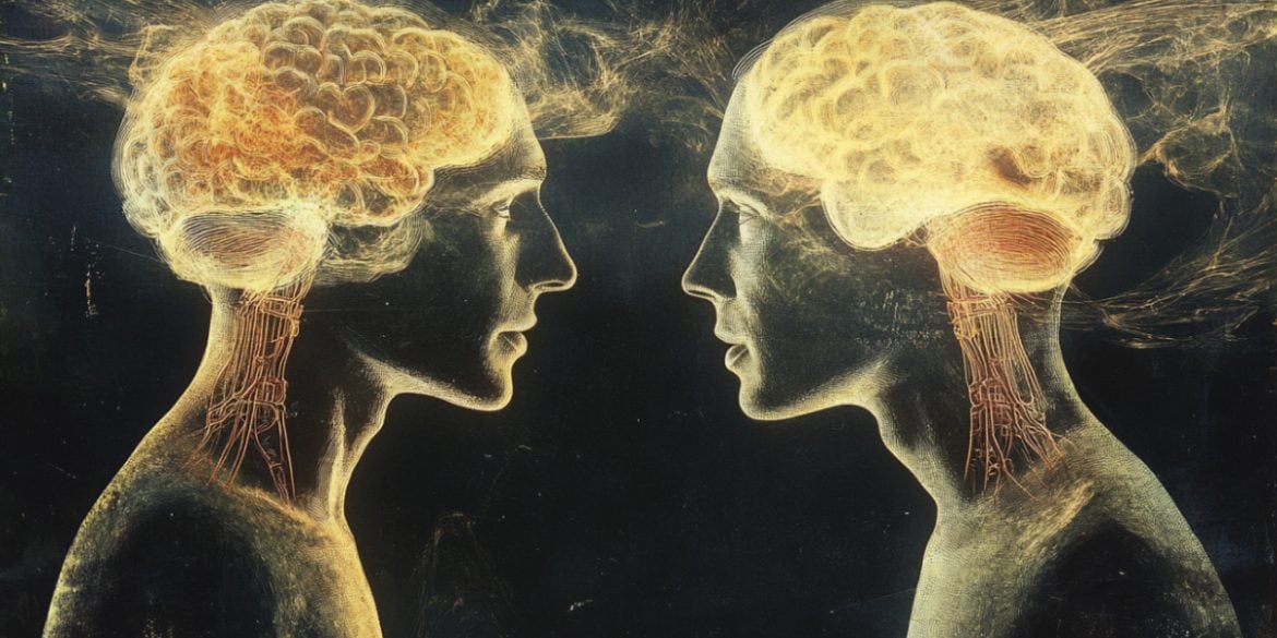 This shows two heads and brains.