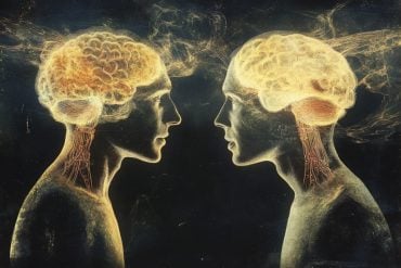 This shows two heads and brains.