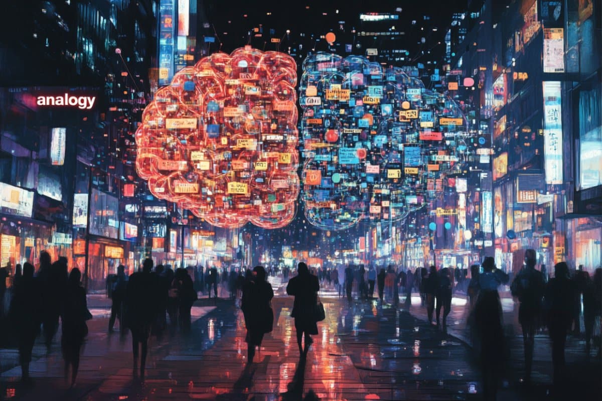 This shows a brain.