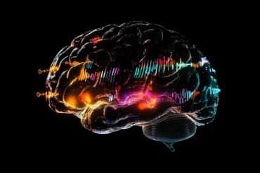 This shows a brain.