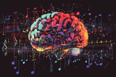 This shows a brain.