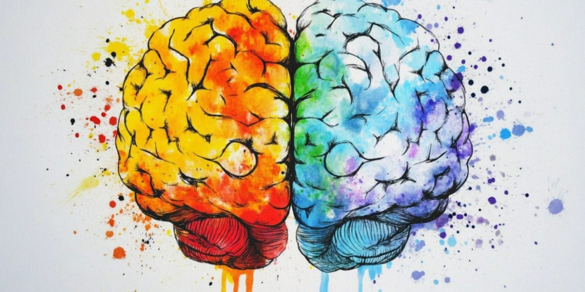 This shows a Brain.