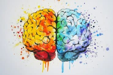 This shows a Brain.