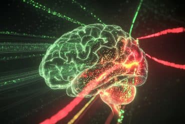 This shows a brain.