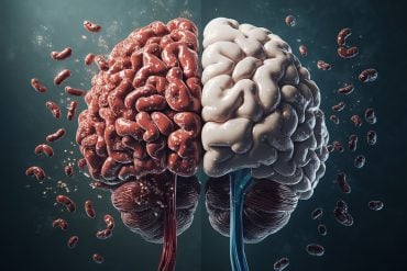 This shows a brain.