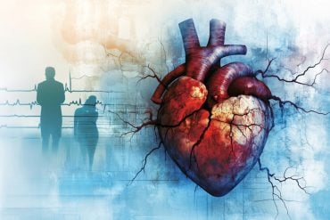 This shows a heart with a crack in it.