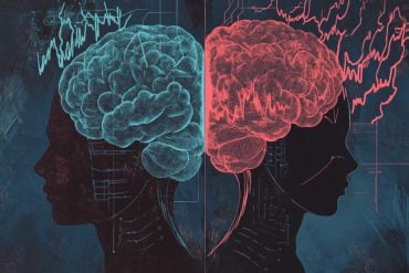 This shows two heads and brains.