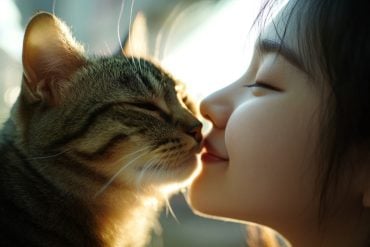 This shows a cat and its owner.
