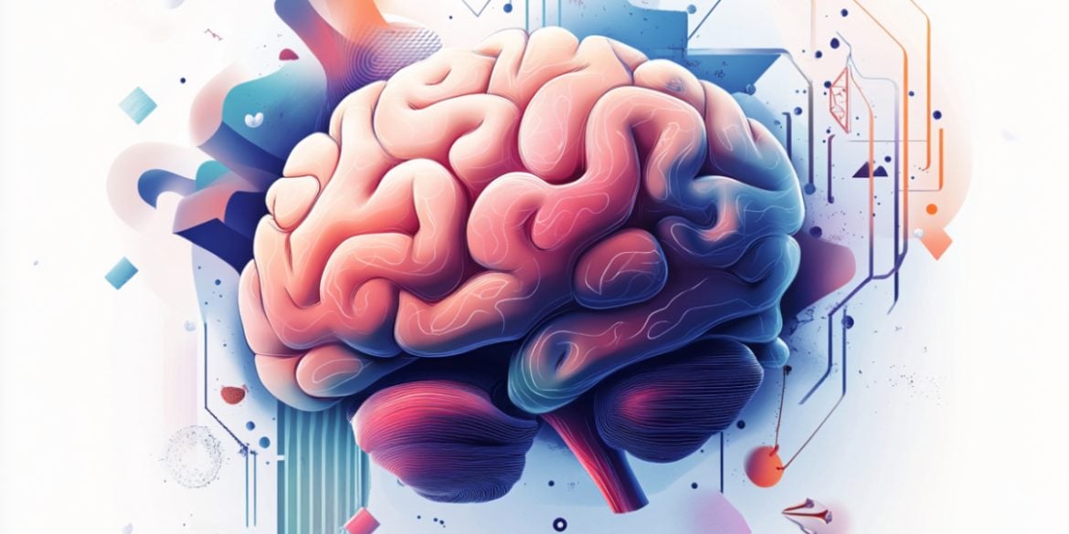 This shows a brain.