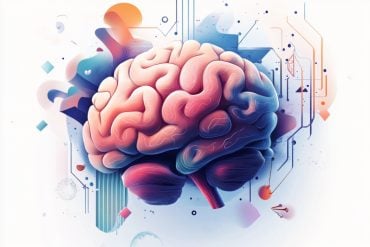 This shows a brain.