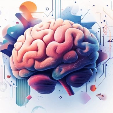 This shows a brain.