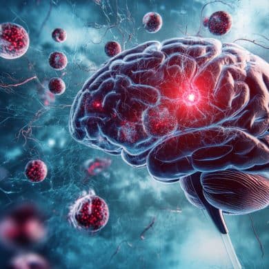 This shows a brain.