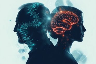 This shows a man, a woman, DNA, and a brain.