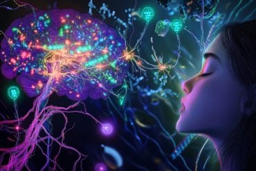 This shows a woman and a brain.