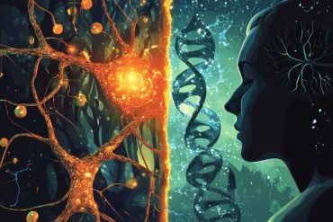 This shows DNA, neurons, and a head.