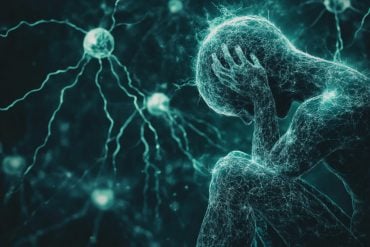 This shows the outline of a person and neurons.