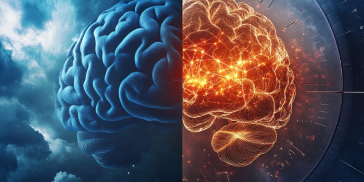 This shows a brain.