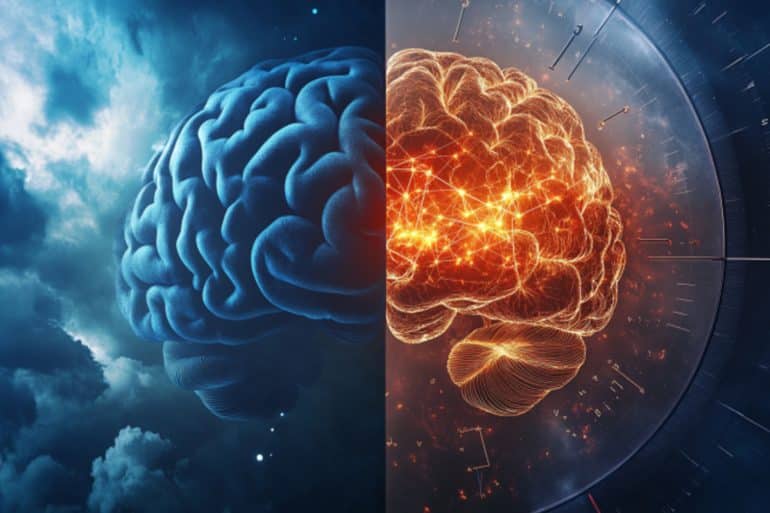This shows a brain.