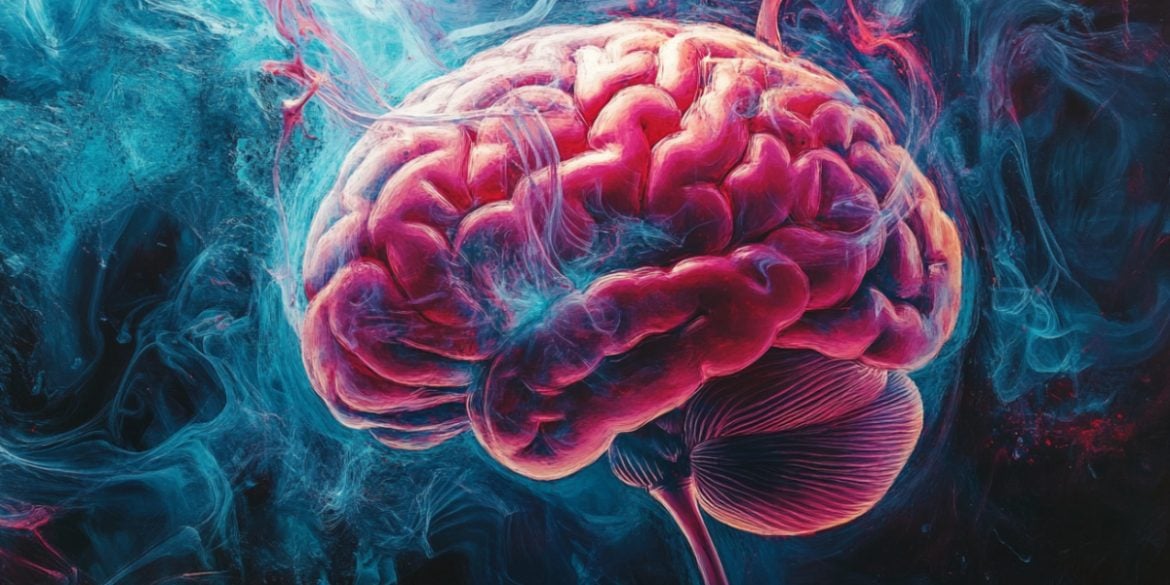 This shows a brain.