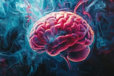 This shows a brain.