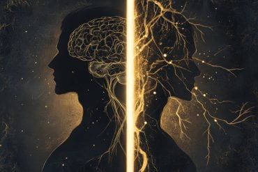 This shows the outline of a person and a brain.